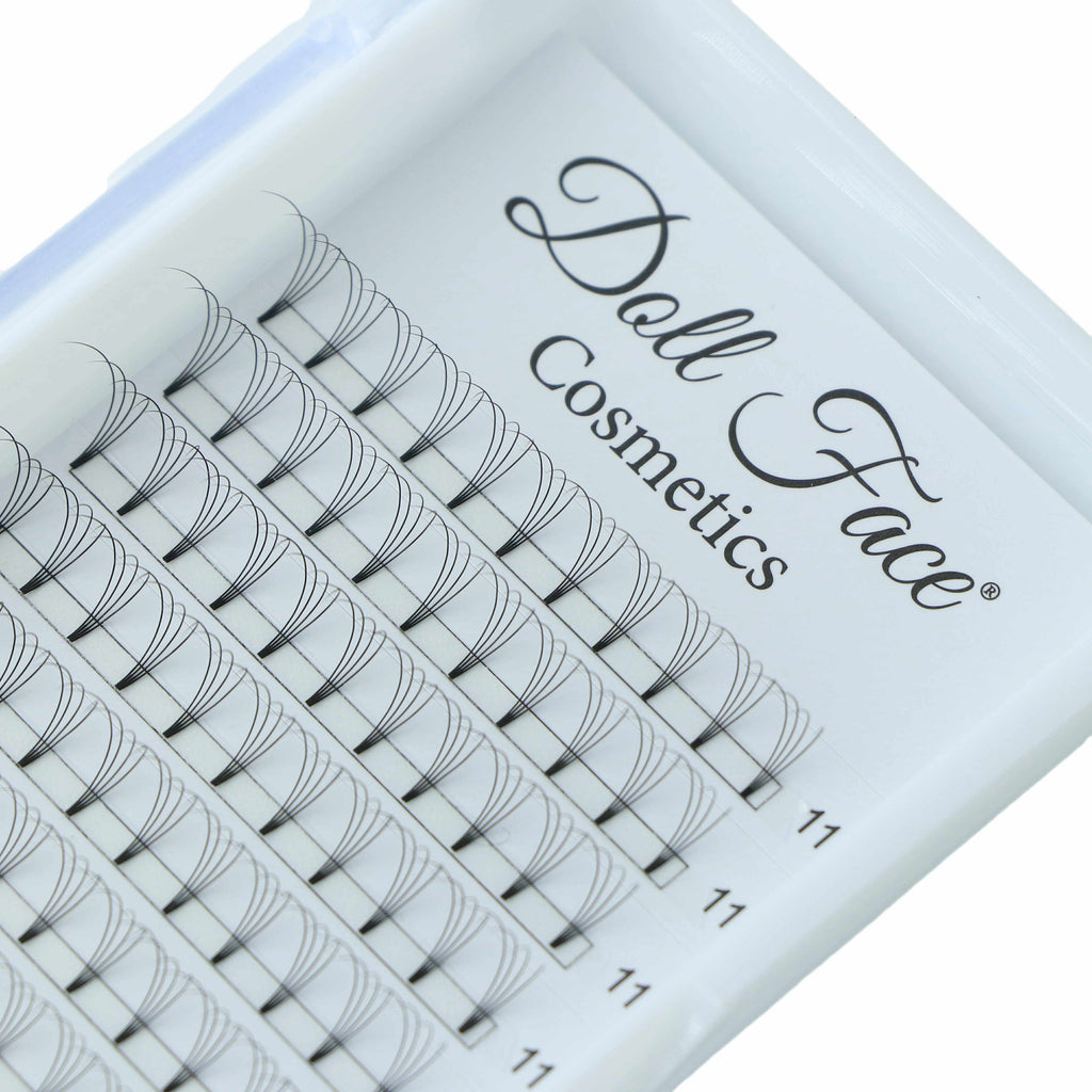 4D Pre Made Lash Tray