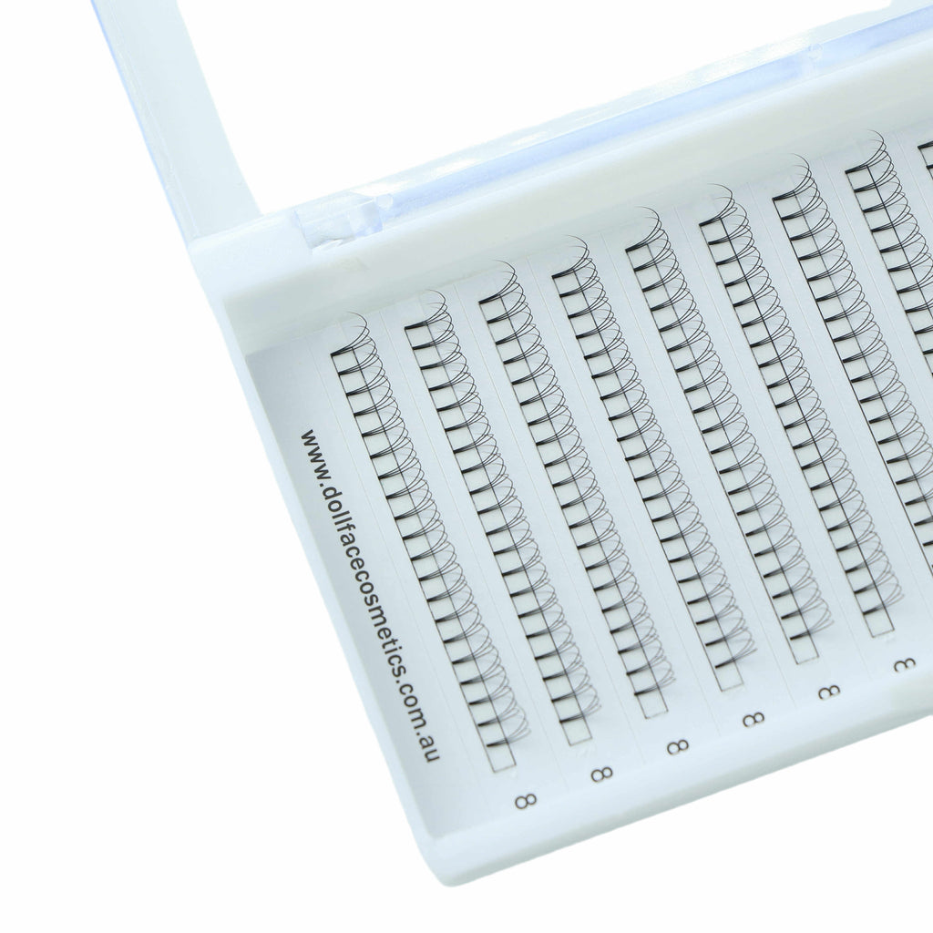 3D Pre Made Lash Tray