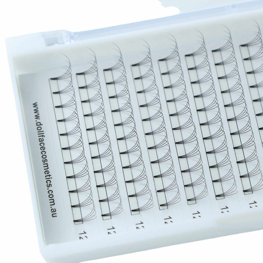 4D Pre Made Lash Tray