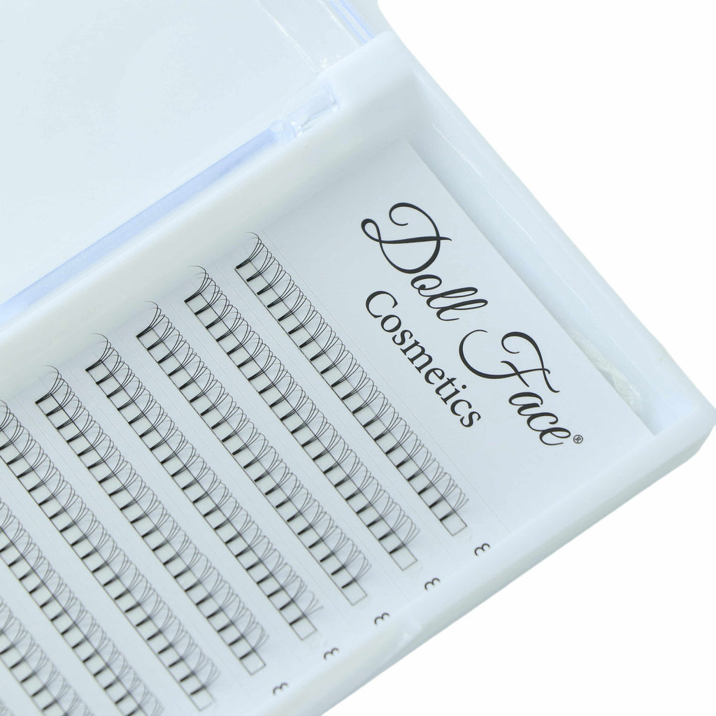 3D Pre Made Lash Tray
