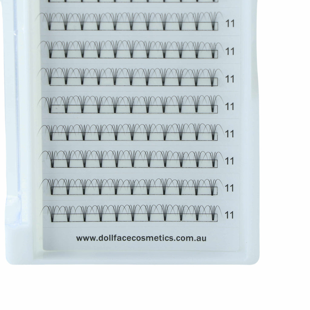 4D Pre Made Lash Tray