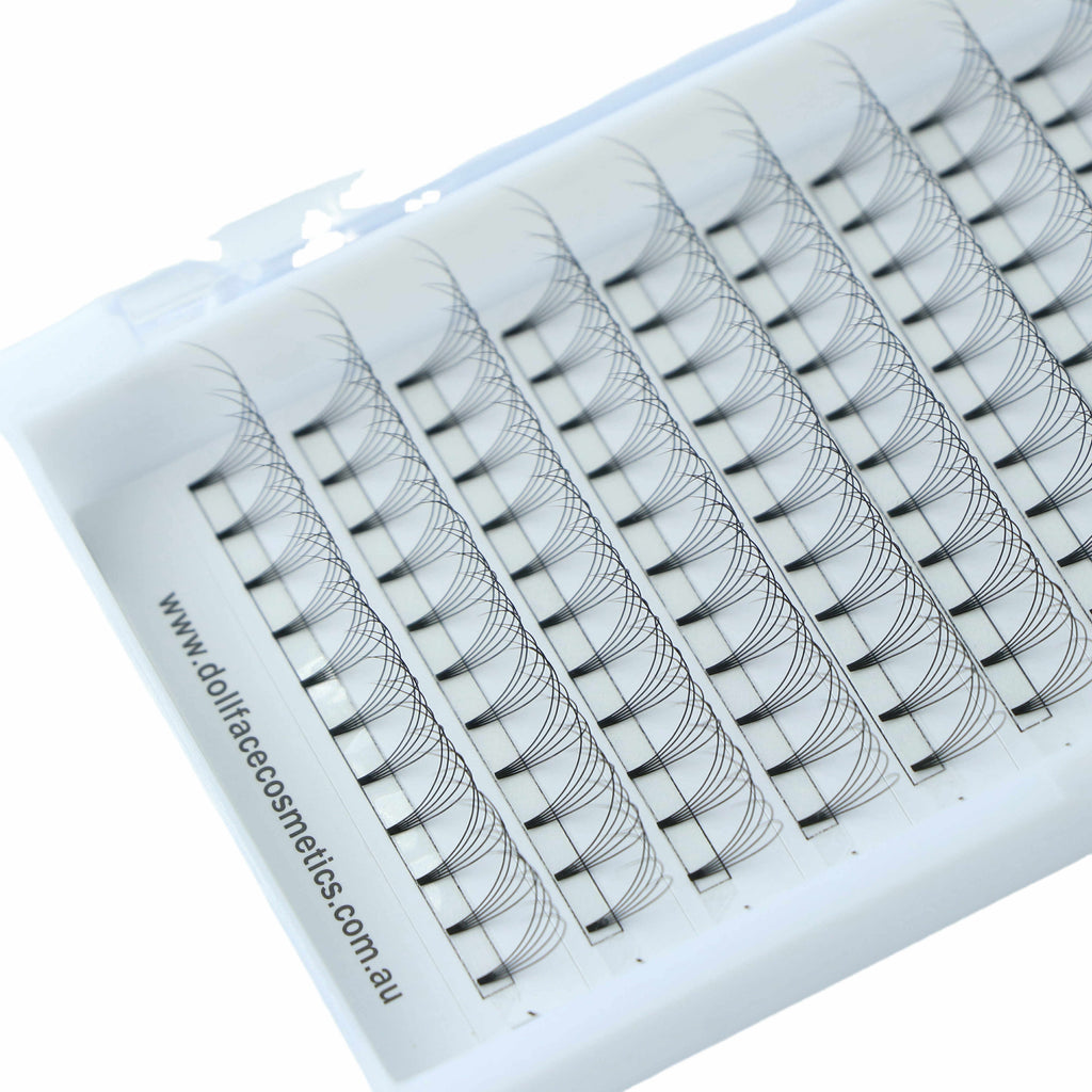 5D Pre Made Lash Tray